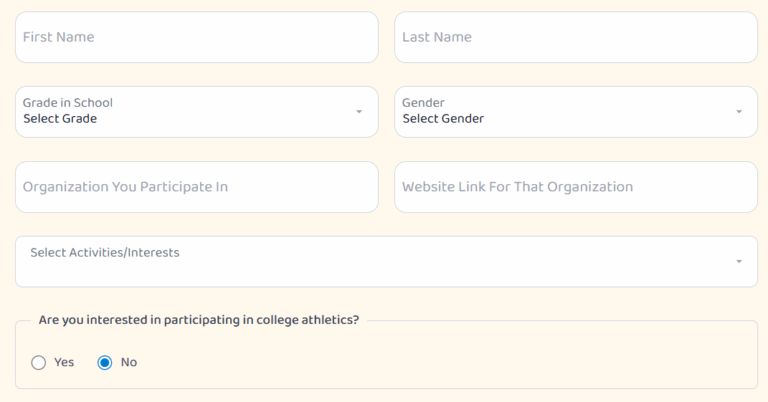 Application preview
